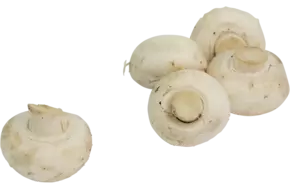Champignons los klasse 2